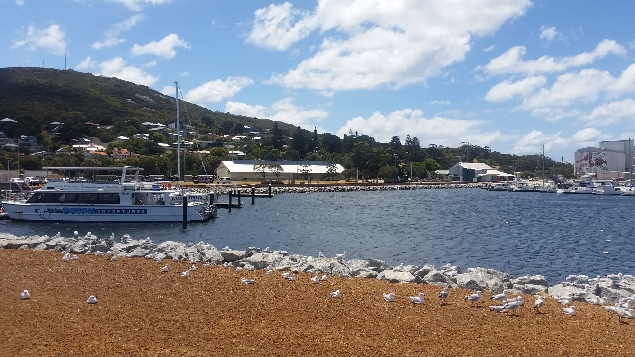 Albany Waterfront Project Realforce Property